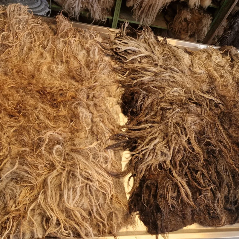 Vachten voor op reis (2 stuks) Vachten voor op reis (2 stuks)