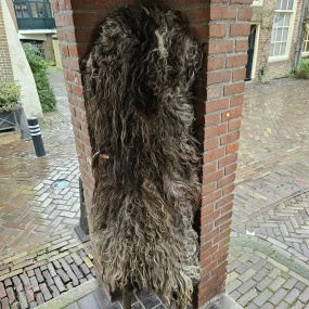 Schapenvacht Drents Heideschaap gevilt Schapenvacht Drents Heideschaap gevilt