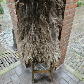 Schapenvacht Drents Heideschaap gevilt Schapenvacht Drents Heideschaap gevilt