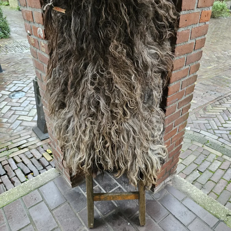 Schapenvacht Drents Heideschaap gevilt Schapenvacht Drents Heideschaap gevilt