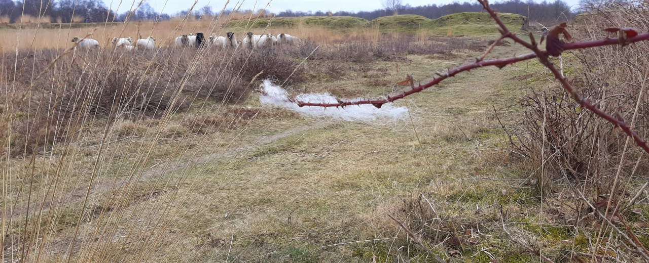Nestmateriaal voor vogels!