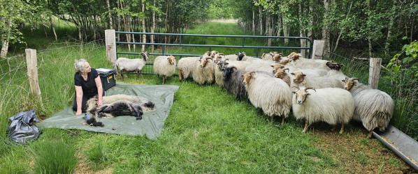 Scheren en "natuurlijk" leren!