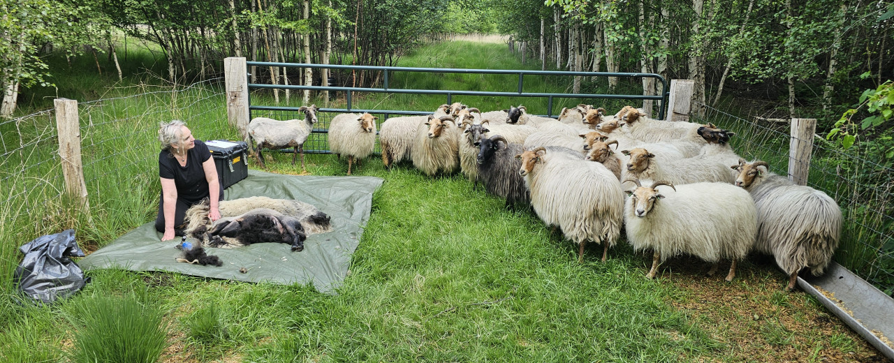 Scheren en "natuurlijk" leren!