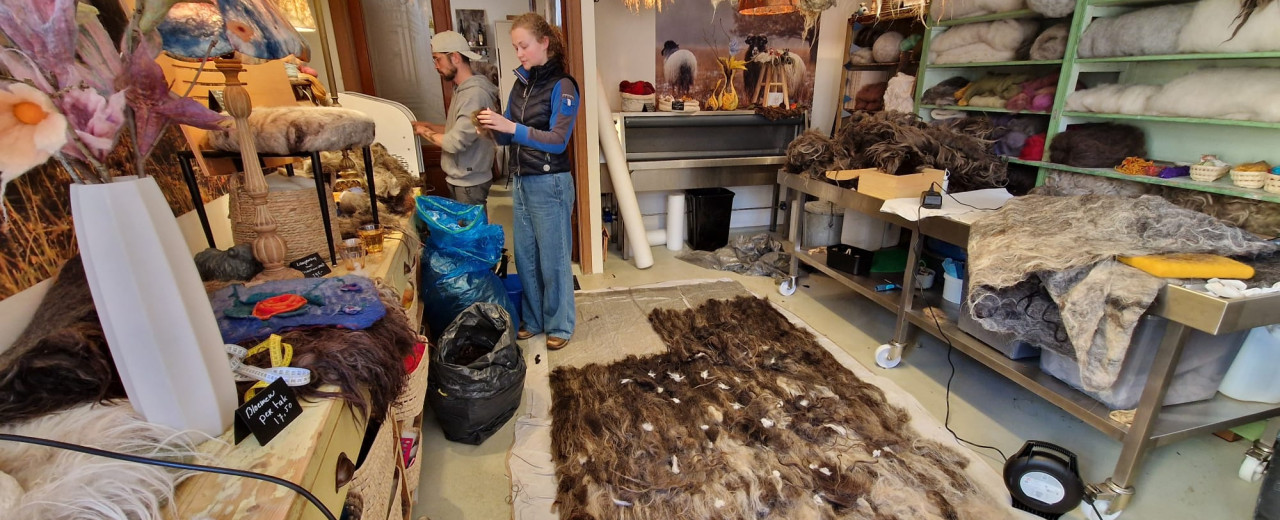 "Grassprieten" een bijzonder groot kunstwerk van wol!